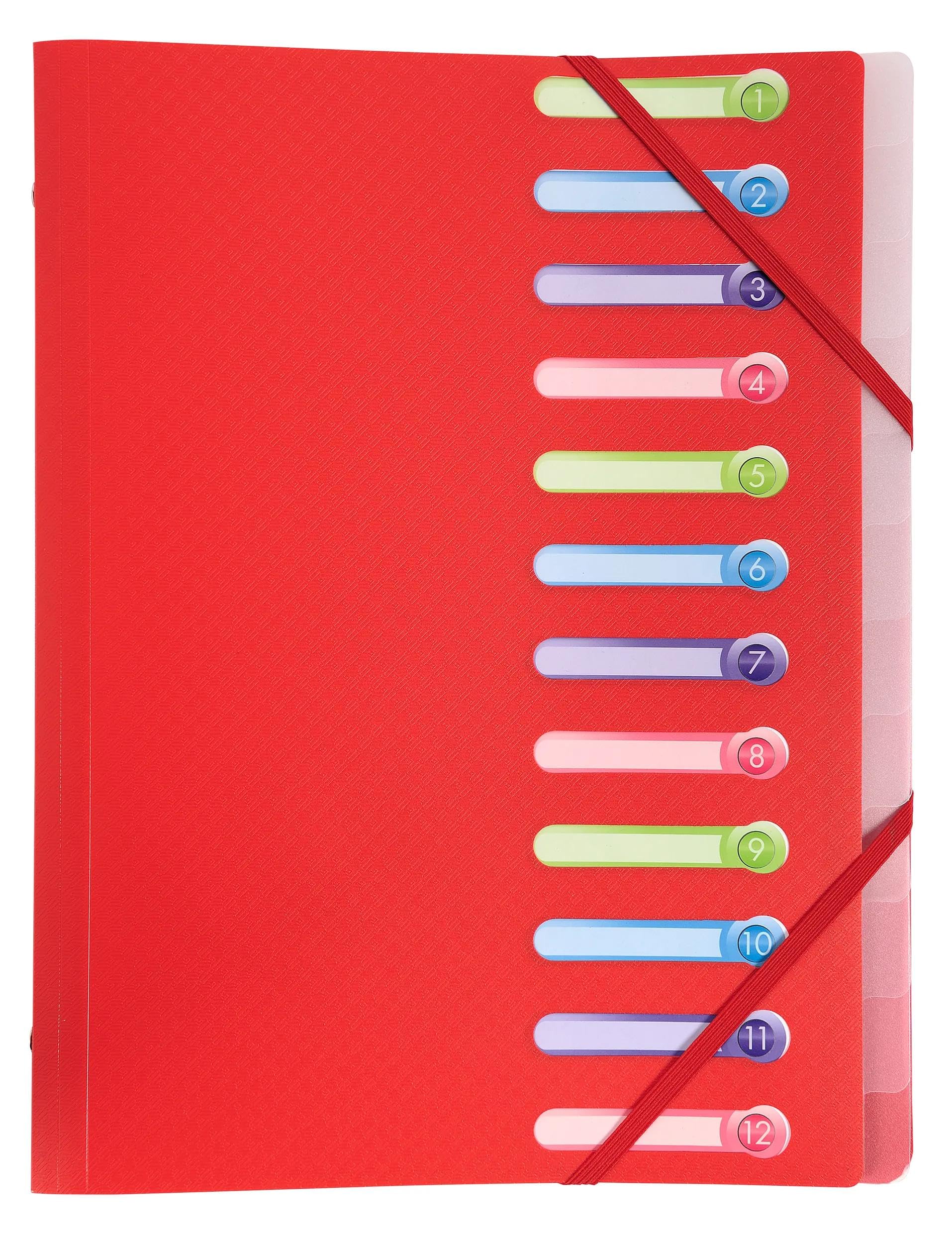 Exacompta - Réf. 55180E - Carton de 10 trieurs Opak - 3 rabats - avec élastiques et fenêtres découpées - couverture et intérieur en PP - 12 compartiments - dim 25x32cm - pour A4 - assorties