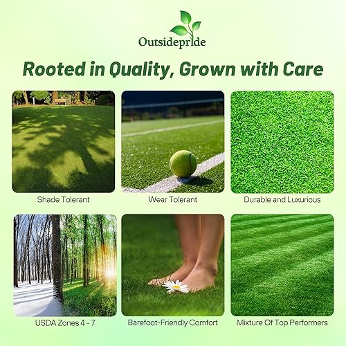 Outsidepride Showtime Ryegrass, Kentucky Bluegrass, mezcla de semillas de césped de fescue fina, 5 libras