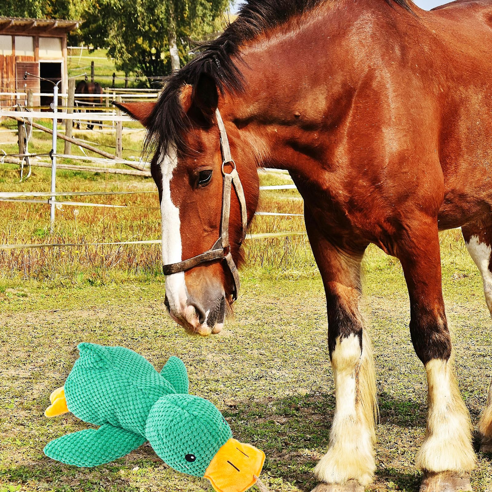 Pato de peluche chirriante, juguete interactivo para caballos, pelota de juguete interactiva para caballos, juguete de peluche para mantenerlos ocupados
