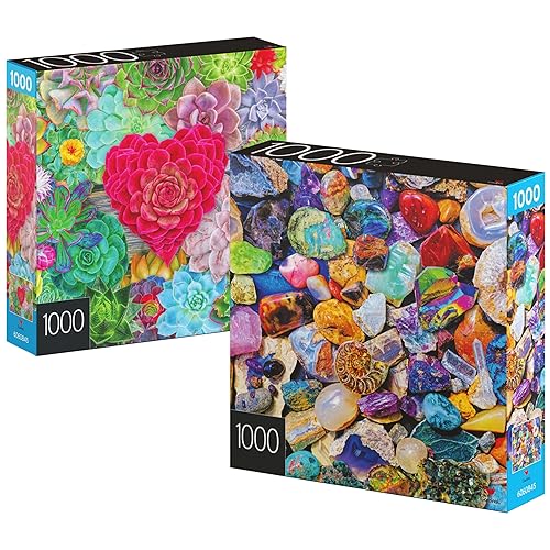 2-Pack of 1000-Piece Jigsaw Puzzles, Succulents & Rocks and Minerals