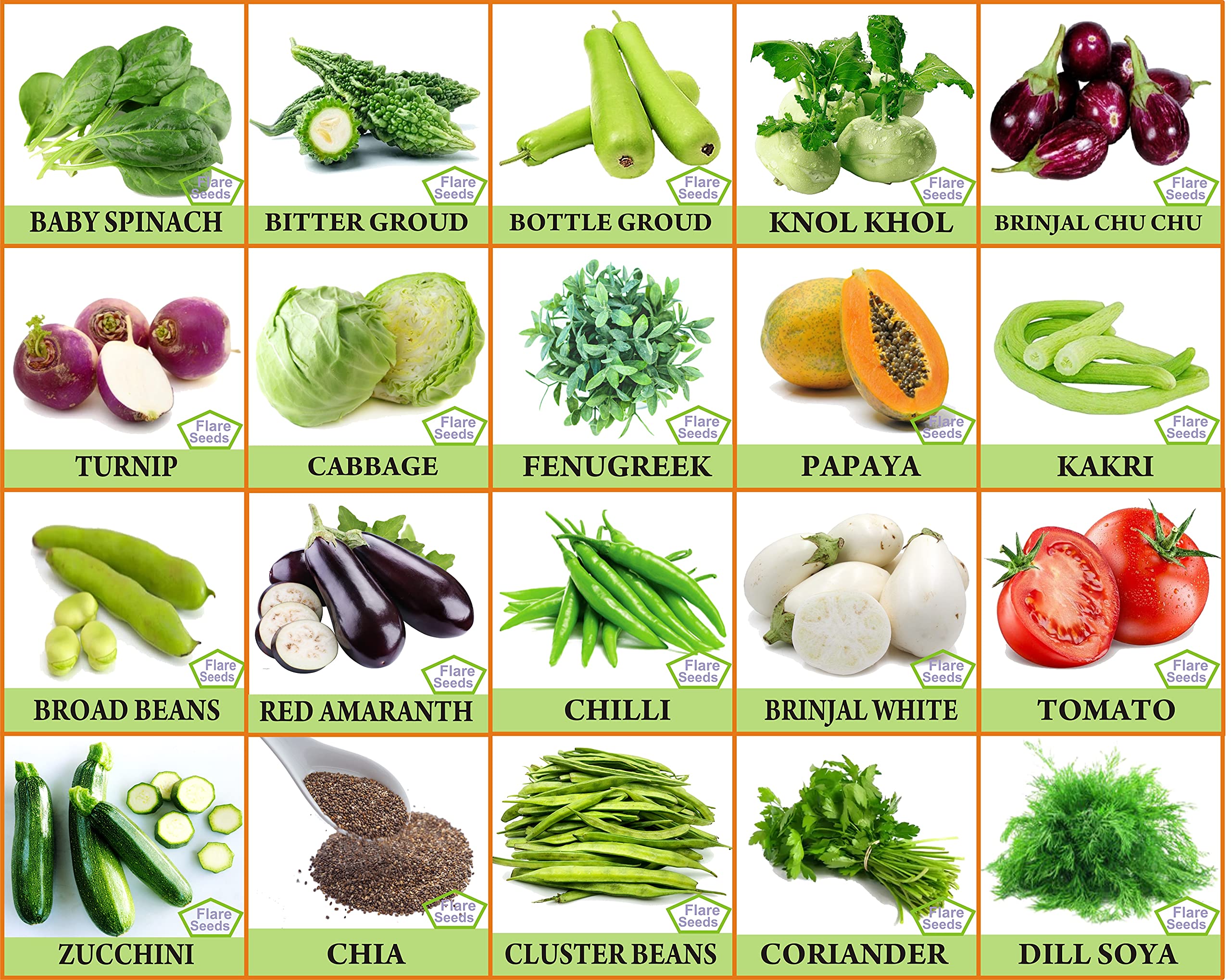 FLARE SEEDS 20 Types of Mix Vegetables Seeds Combo With Instruction Manual Inside (B09331DXVY) Amazon Price History, Amazon Price Tracker