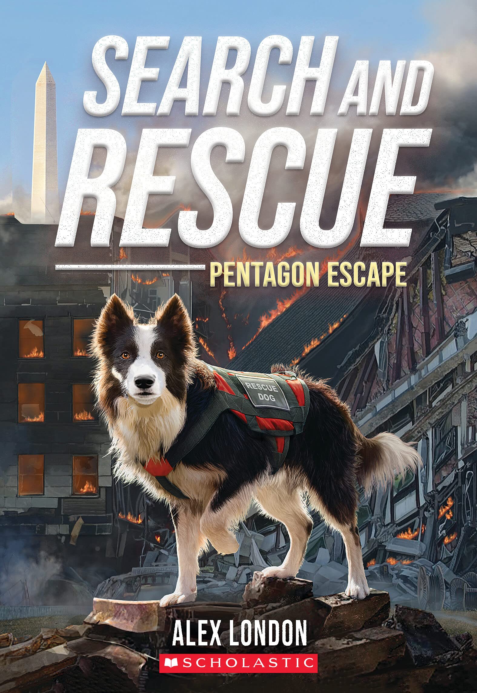 Buy SEARCH & RESCUE: Pentagon Escape — BookShops.in