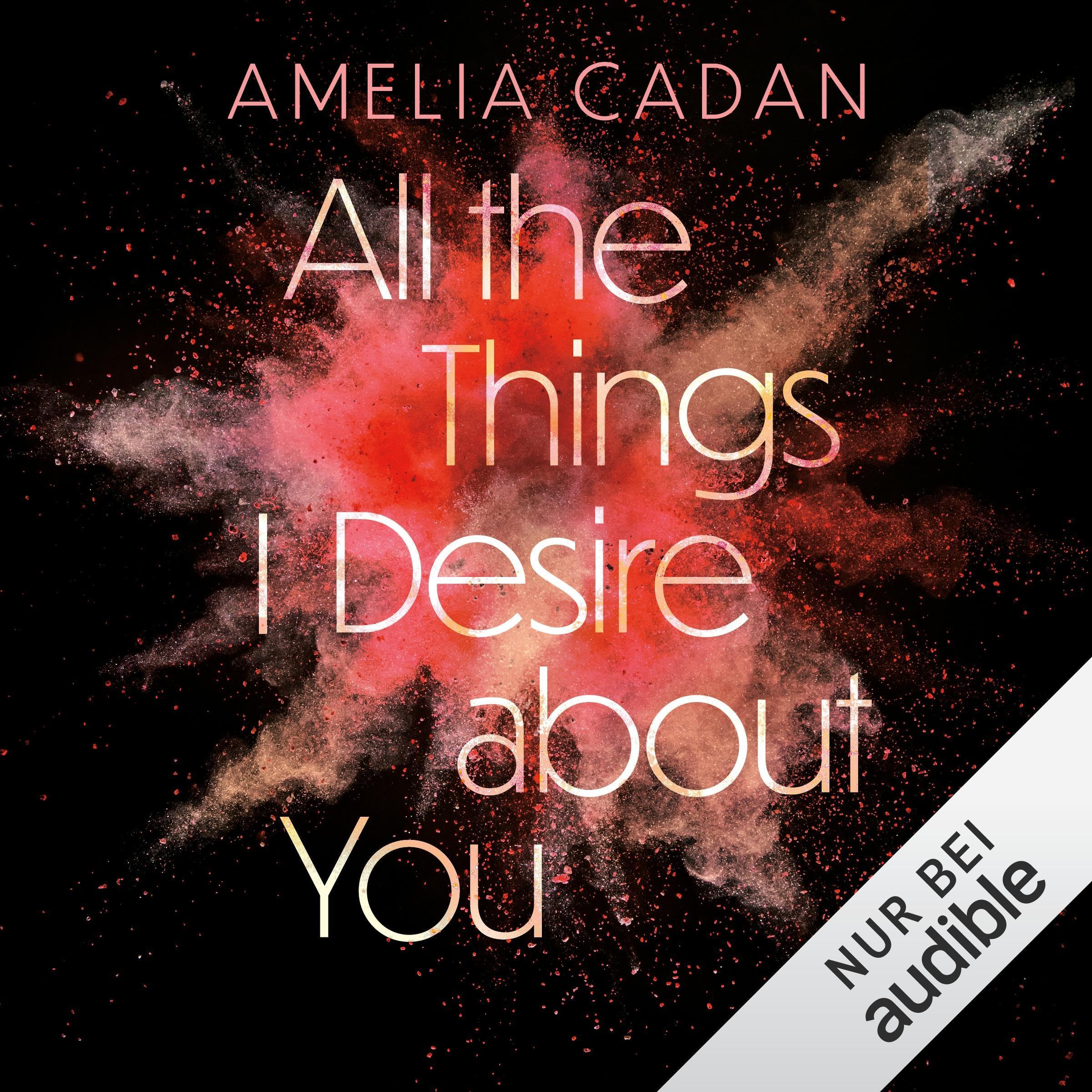 Cover art for All the Things I Desire about You (German Edition)