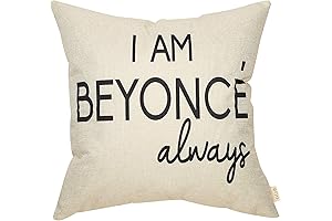 The Office Throw Pillow Case Cushion Cover for Beyonce Renaissance Fans and Michael Scott Lovers