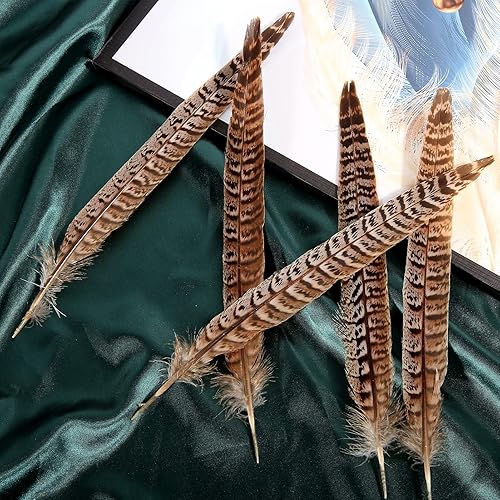 Miniatura 8 de THARAHT 24 plumas de cola de faisán femeninas con cuello de anillo, plumas naturales de 6 a 8 pulgadas, 15 a 7.9in para manualidades, hogar, boda,