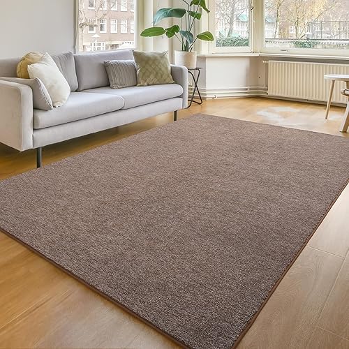 Amearea Alfombra moderna y suave, lavable de color elegante para sala de estar, decoración del hogar, alfombra esponjosa, bonita alfombra de acento disponible en Yaxa Colombia