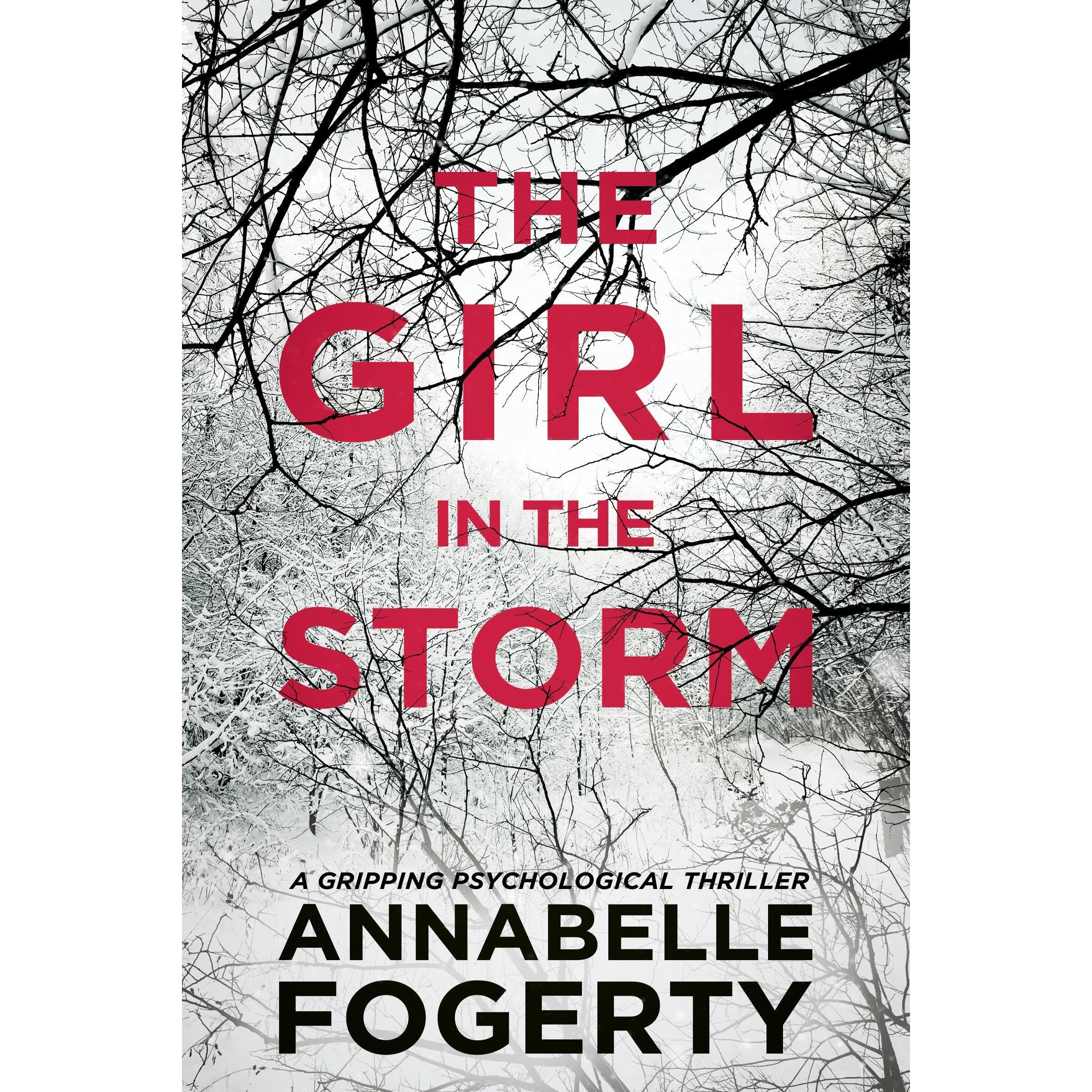 The Girl In The Storm