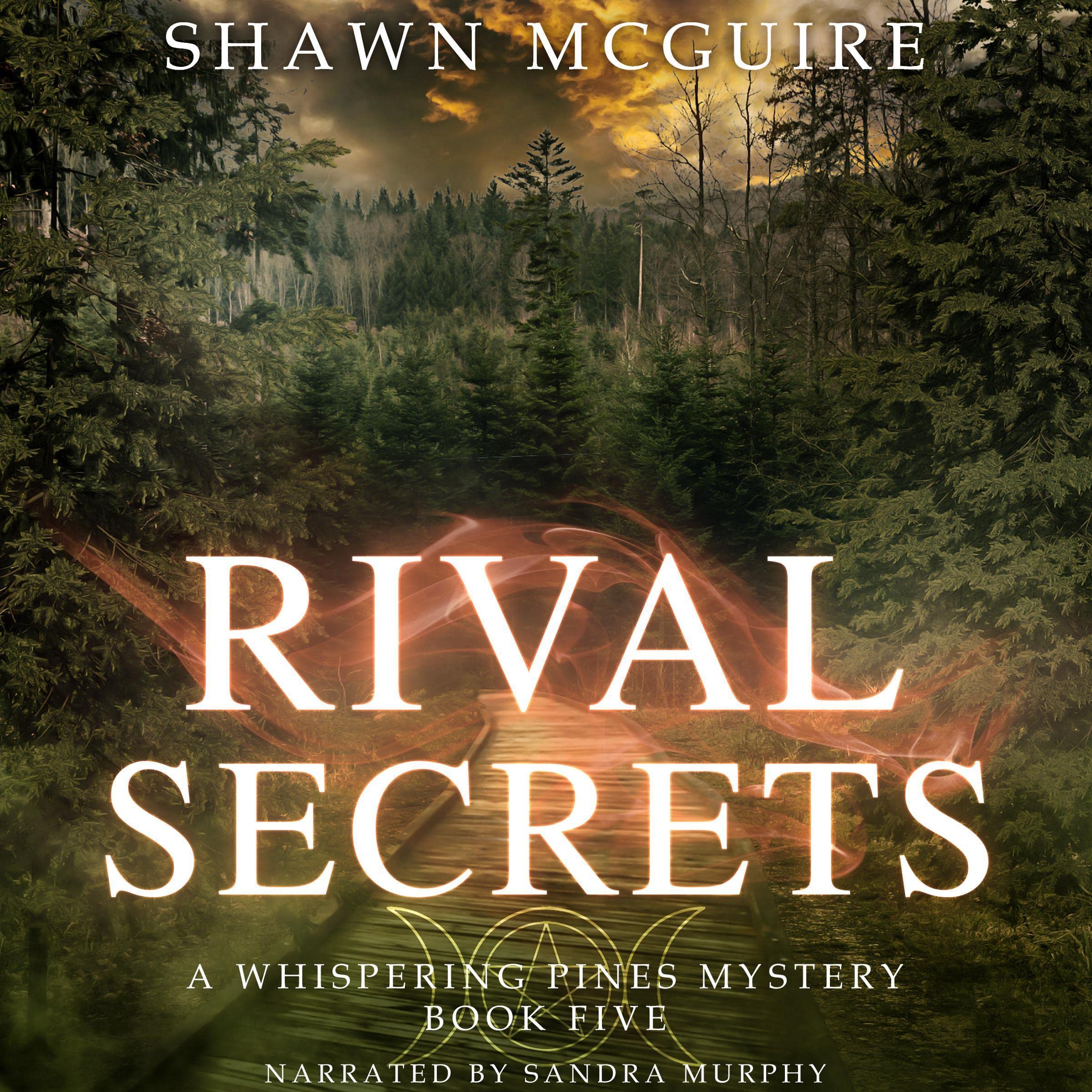 Cover art for Rival Secrets