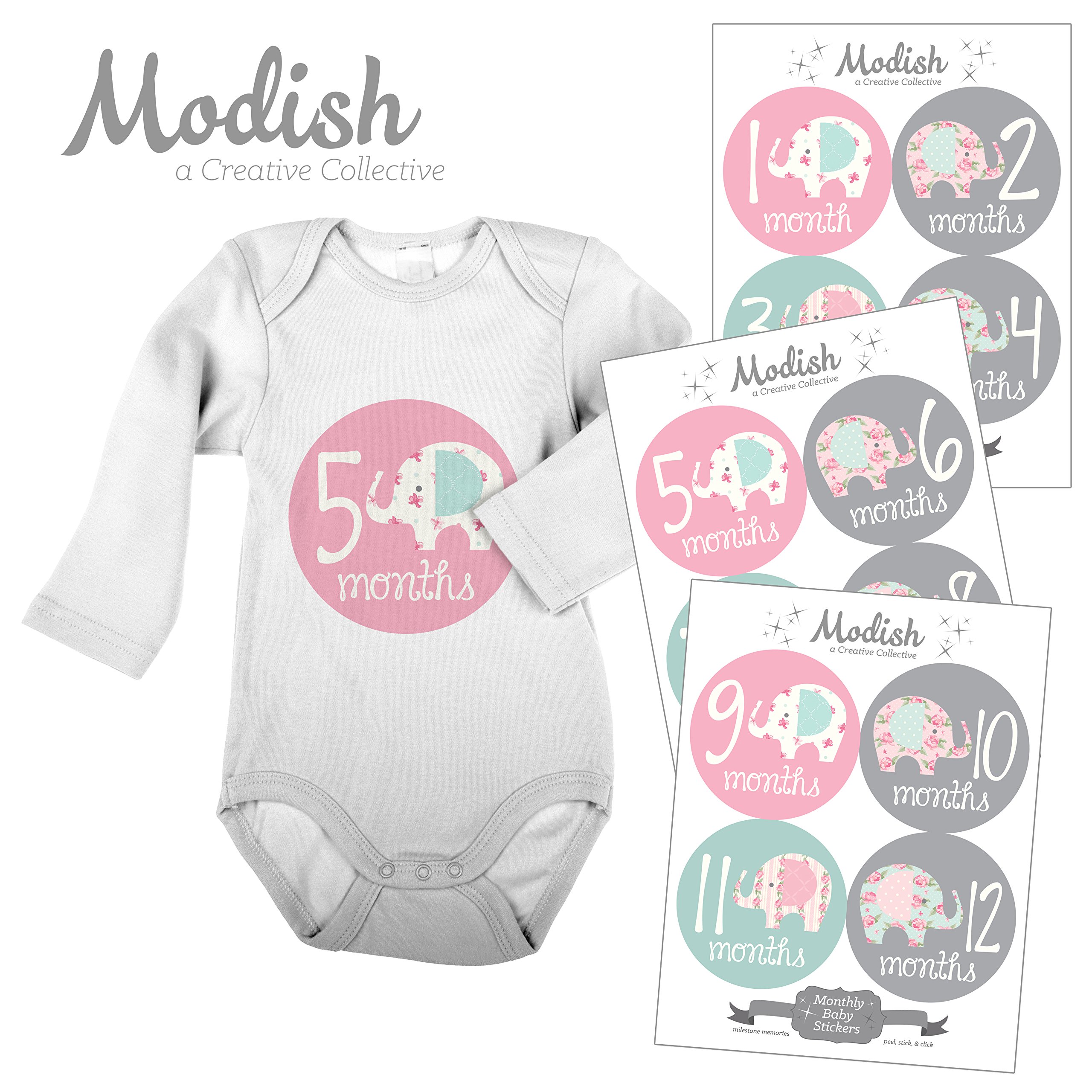 Modish - Creative Collective 12 Monthly Baby Stickers, Elephants, Baby Girl, Elephant Baby Belly Stickers, Elephant Monthly Onesie Stickers, First Year Stickers Months 1-12, Pink/Grey/Teal