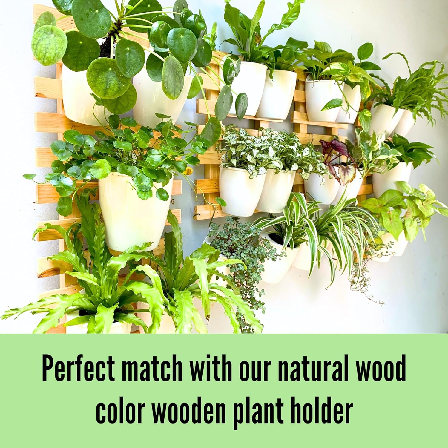 LaLaGreen Wall Mounted Planters for Indoor Plants - 10 Pack, 5 Inch Self Watering Plastic Pot, Living Hanging Eco Wall Planter System, Trendy Live Wall Garden for Herb, White - Image 4