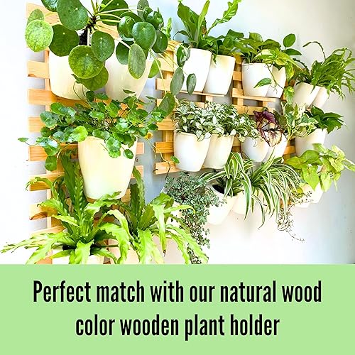 Miniatura 12 de LaLaGreen - Macetas de pared para plantas de interior, paquete de 10 macetas y macetas de plástico de riego automático de 4 pulgadas, soporte