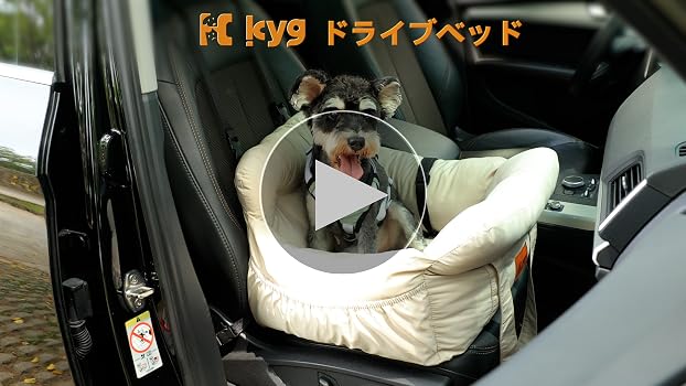Amazon | KYG ドライブベッド 犬用 ドライブボックス ペットキャリー