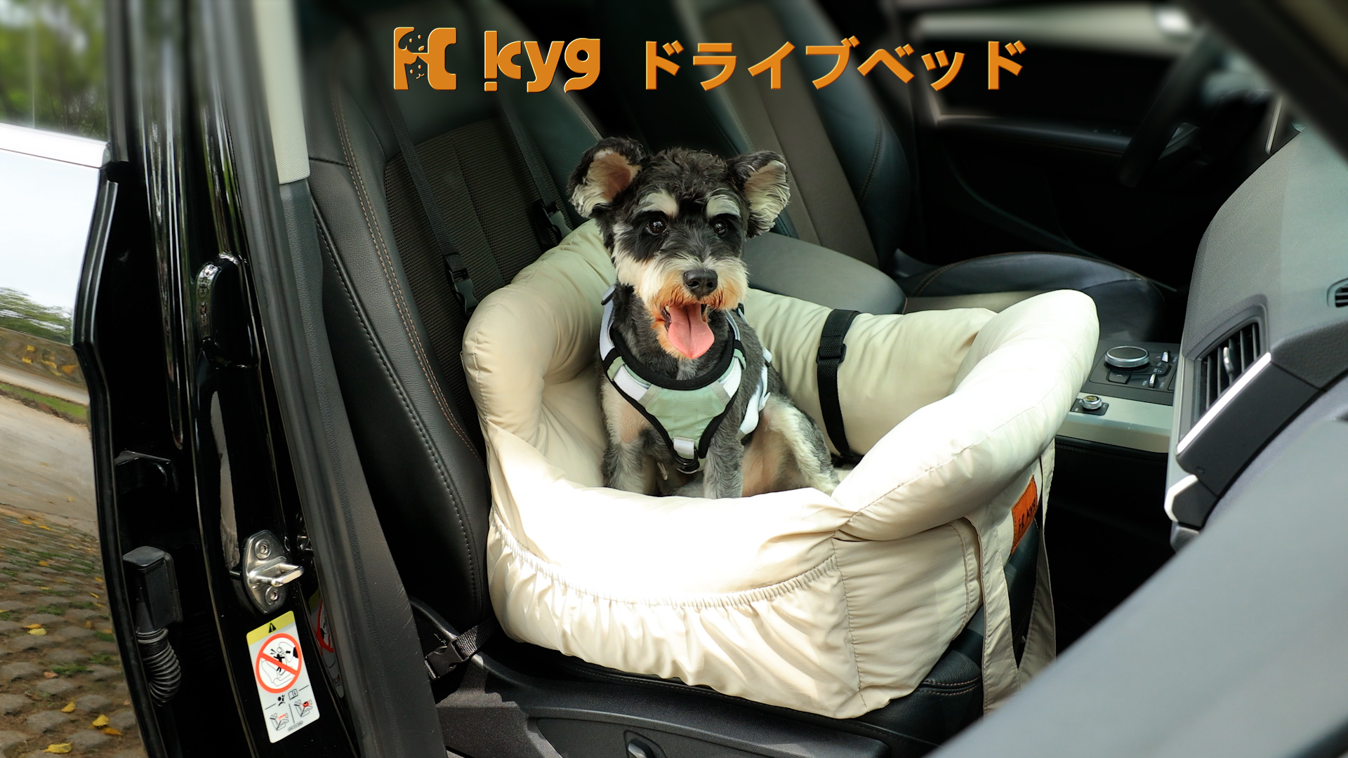 Amazon | KYG ドライブベッド 犬用 ドライブボックス ペットキャリー