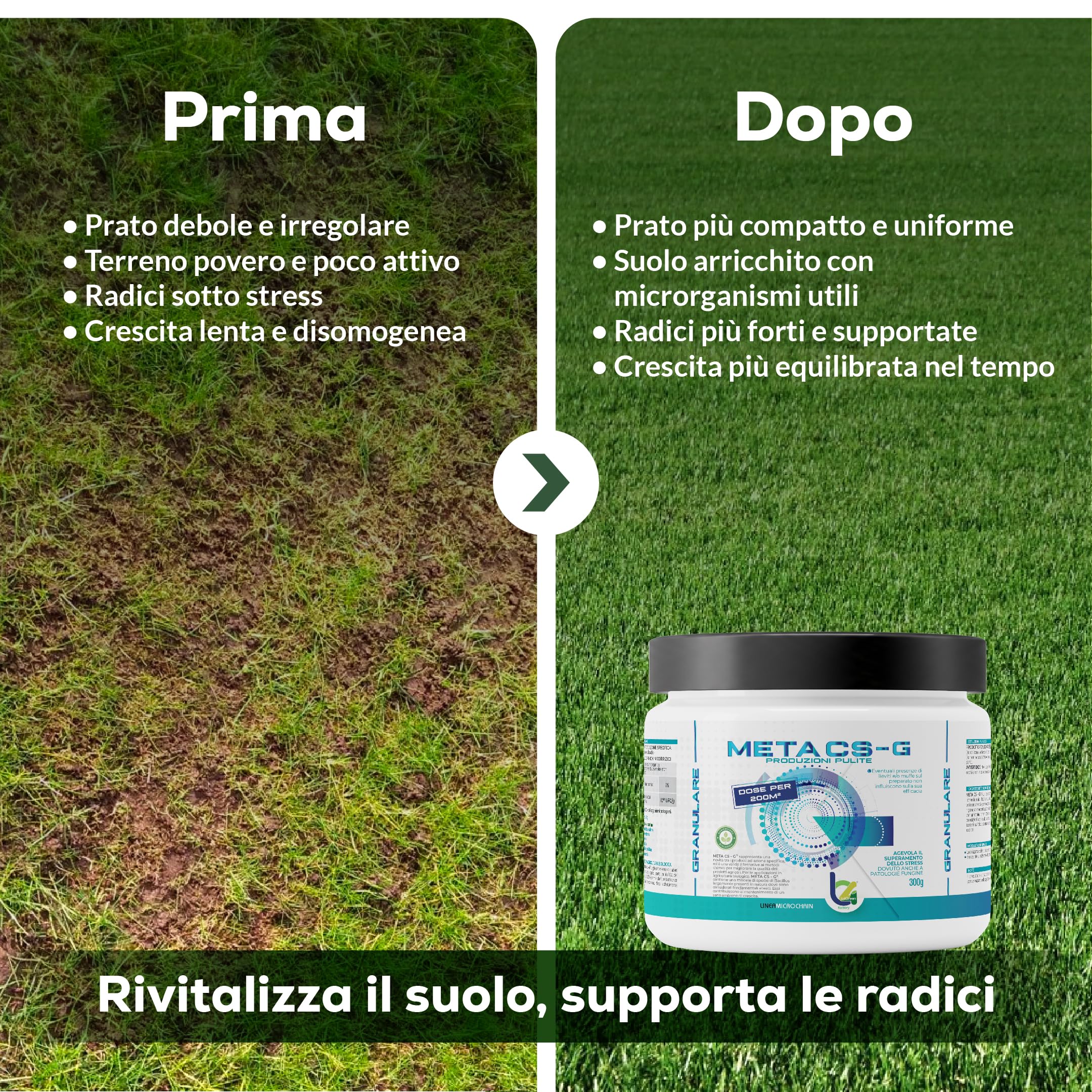 B4Green Meta CS-G Granulare 300g per 200m² – Micorrize per Piante e Micorrize in Polvere, Biostimolante Naturale del Suolo per Prato Orto e Giardino, Radici Forti e Tappeto Erboso Sano