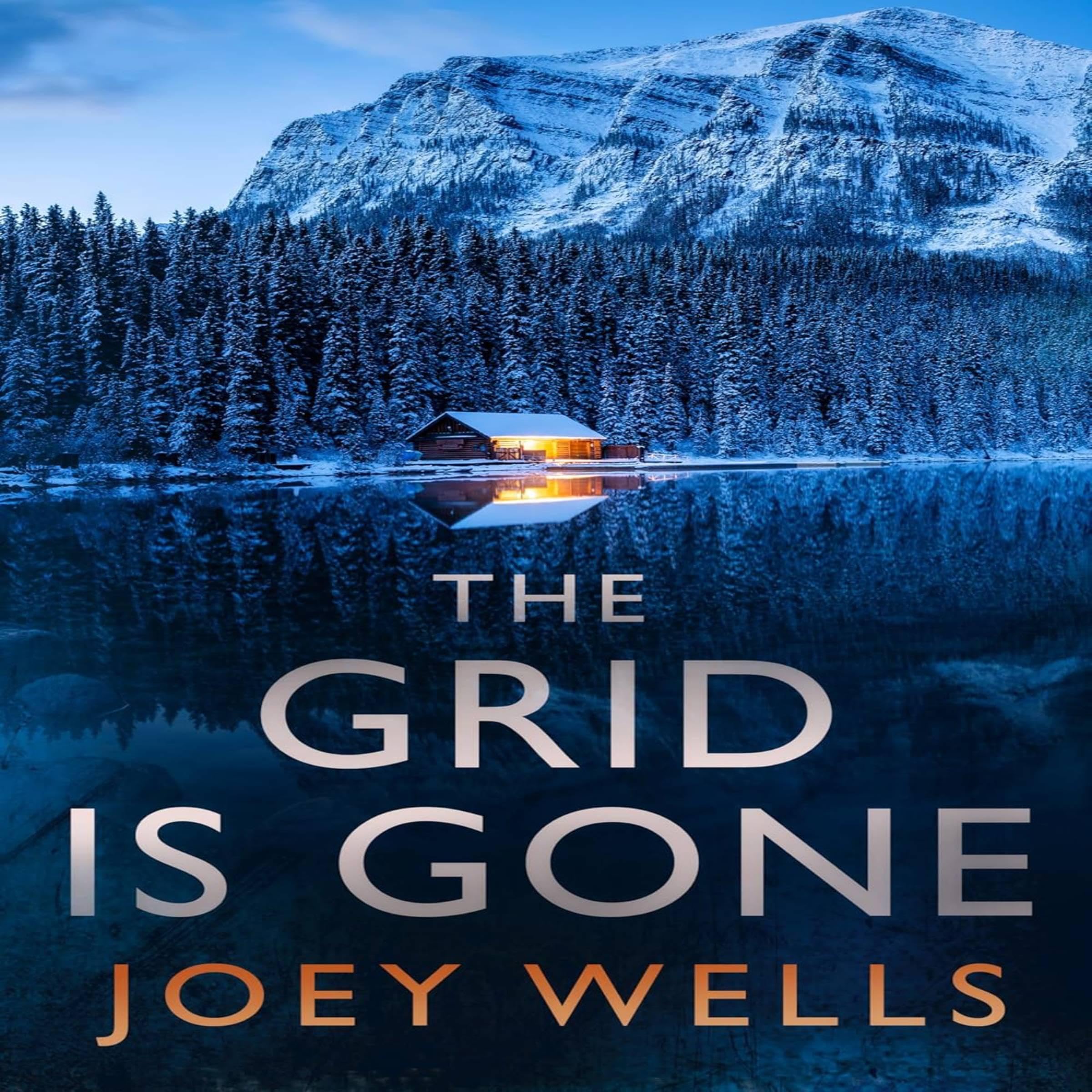 Cover art for The Grid Is Gone