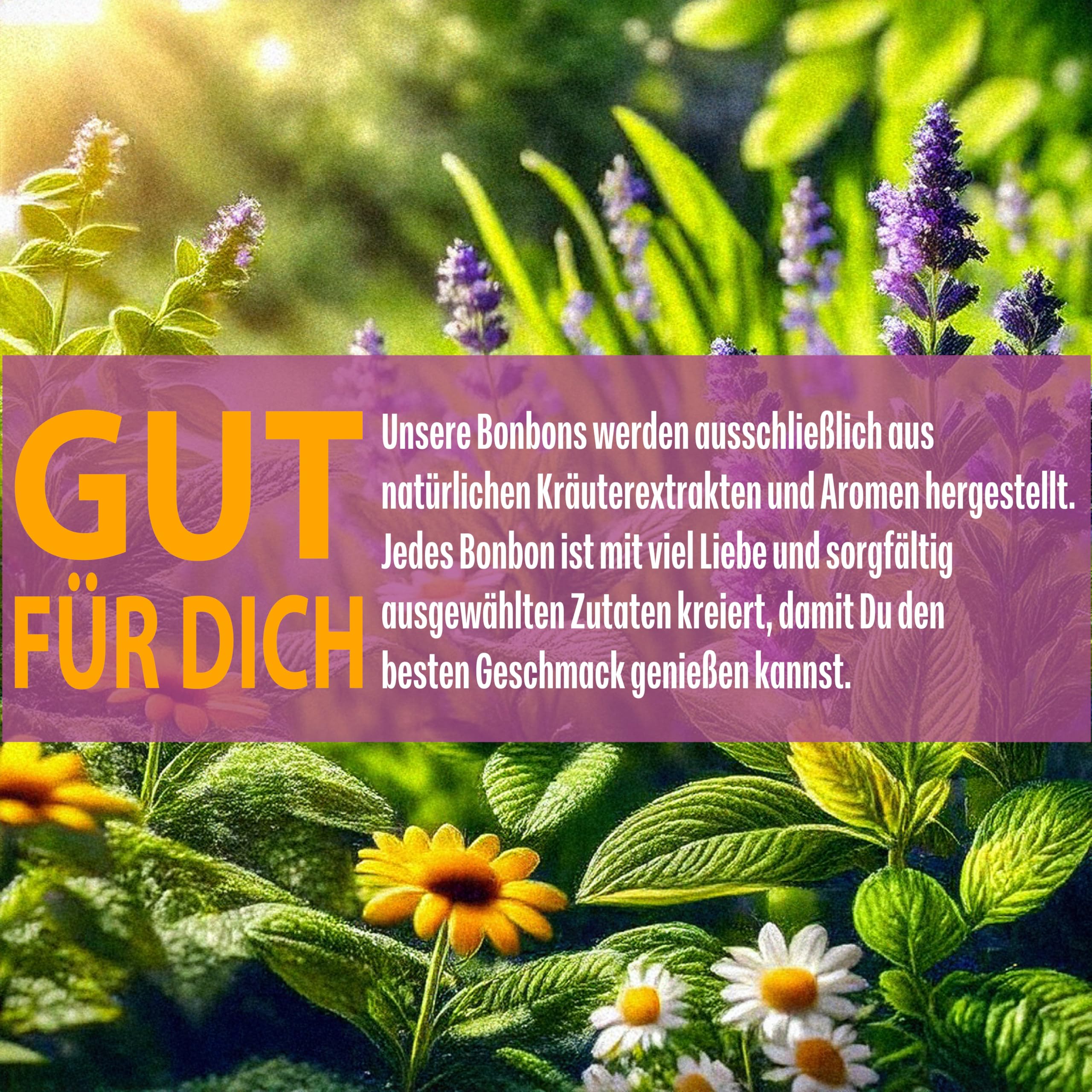 WILHELM Müller Himbeer Bonbons - Fruchtbonbons wie früher - Fruchtige Bonbons mit Himbeer Geschmack - Süßigkeiten im praktischen Beutel aus Deutschland - 2500g