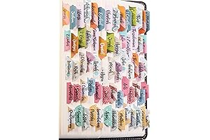 DiverseBee Laminated Bible Tabs for Women's Amplified Study Bible