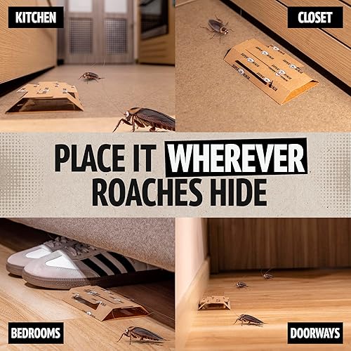 Miniatura 7 de Super Ninja Trampas para cucarachas para interiores  Paquete de 12 unidades, mata cucarachas para control de infestaciones en interiores, segura y