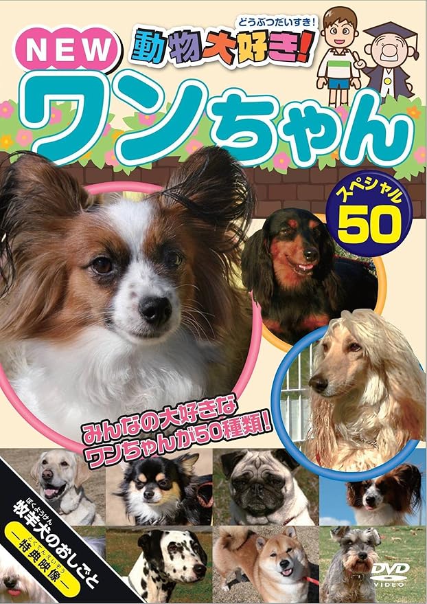 動物大好き ワンちゃんスペシャル100 Dvd 特別価格 Dvd 動物大好き ワンちゃんスペシャル100 Dvd 特別価格 Dvd