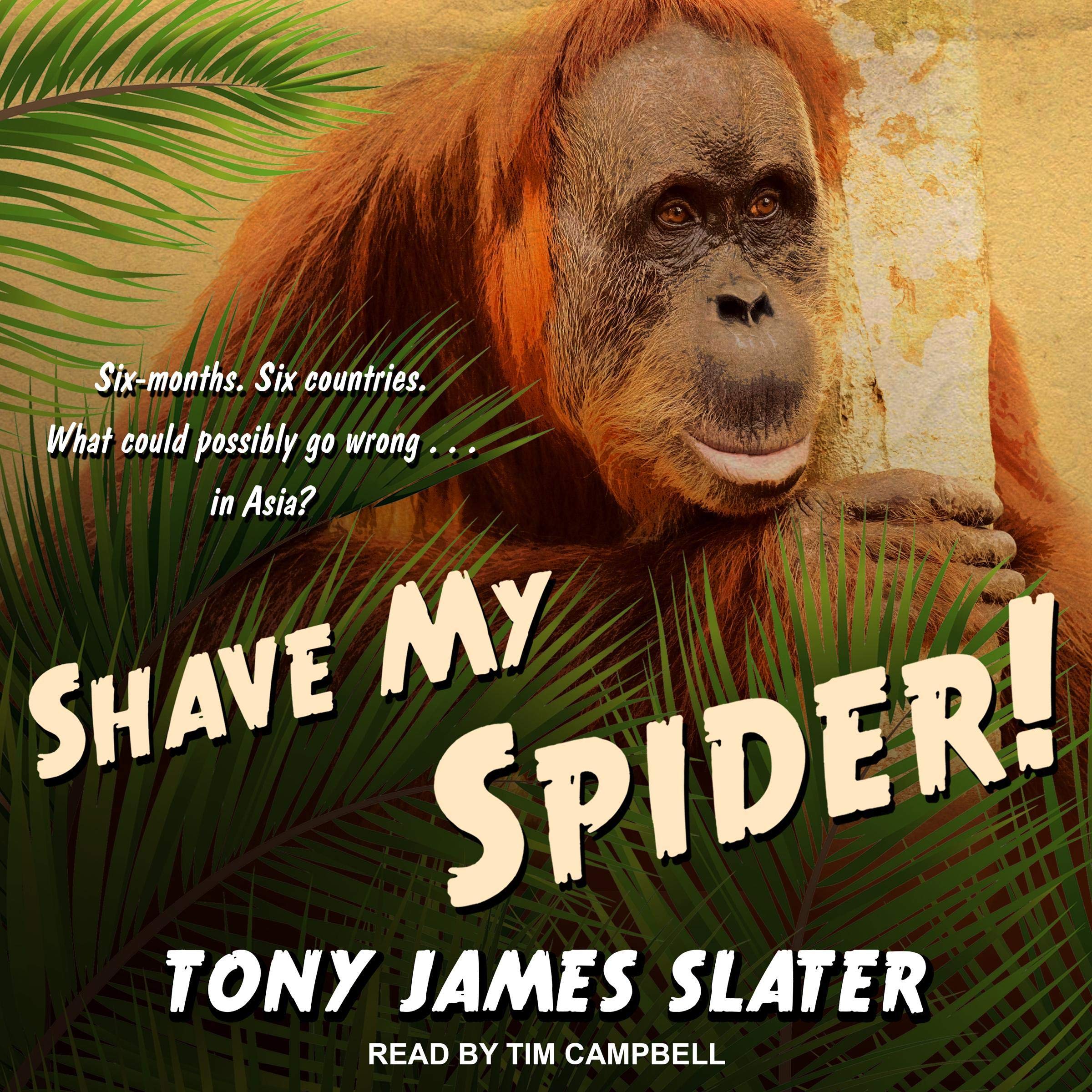 Cover art for Shave My Spider!