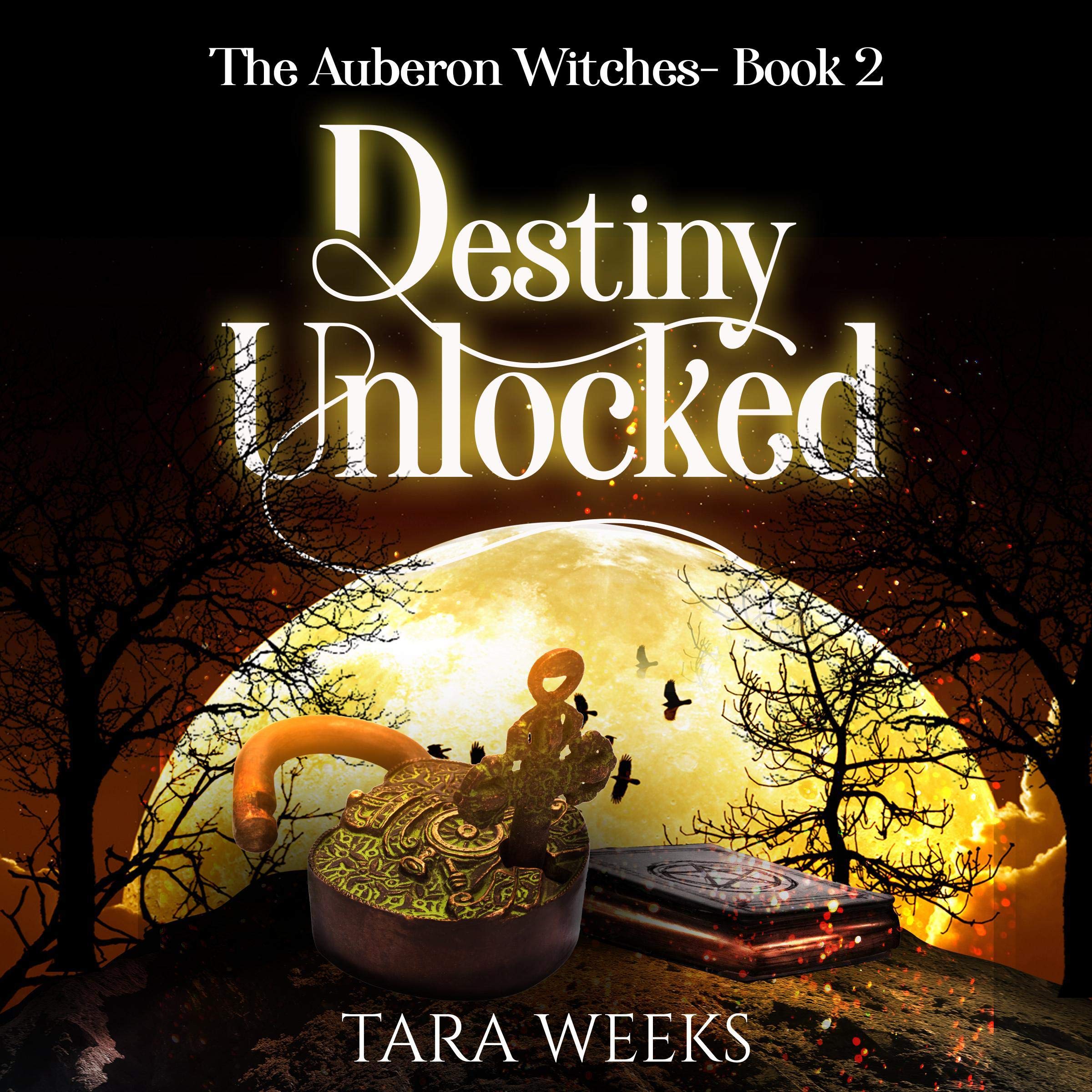 Cover art for Destiny Unlocked