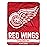 Northwest NHL Detroit Red Wings Unisex-Adult Micro Raschel Throw Blanket, 46 x 60, Break Away