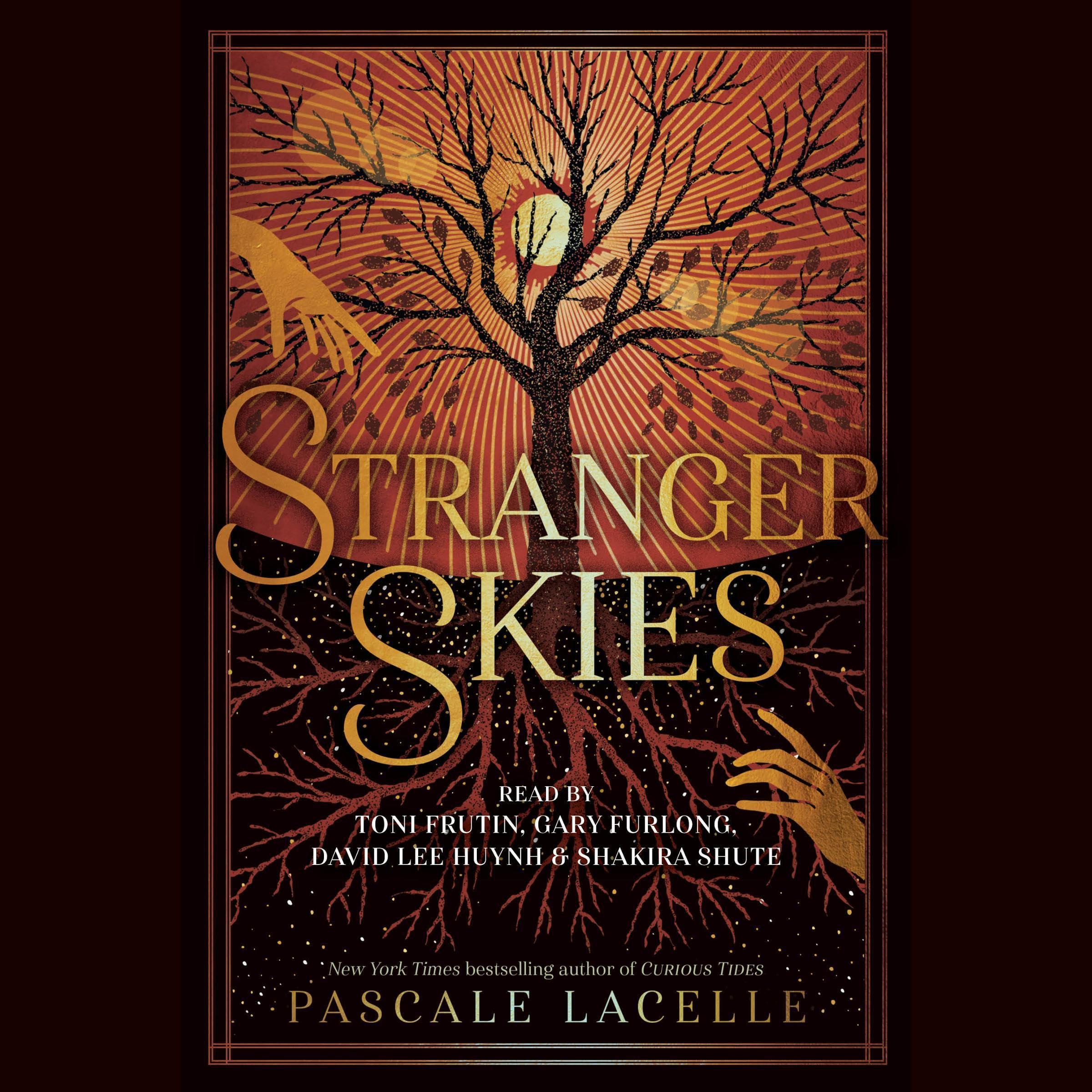 Cover art for Stranger Skies