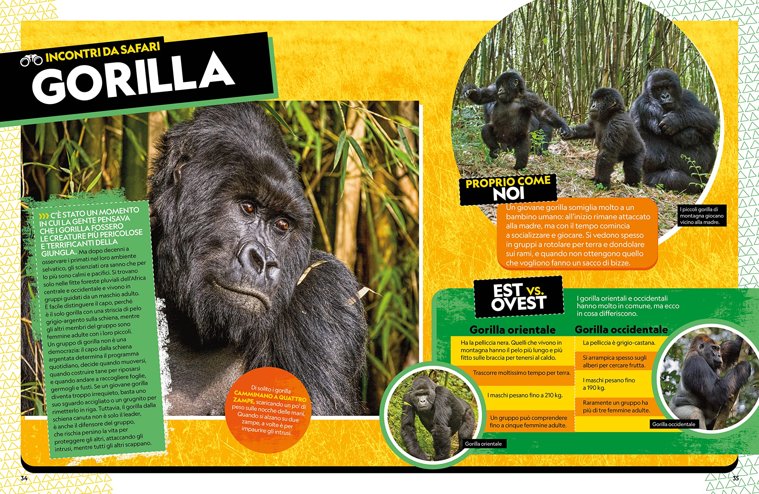 Il grande libro degli animali dell'Africa. Ediz. a colori