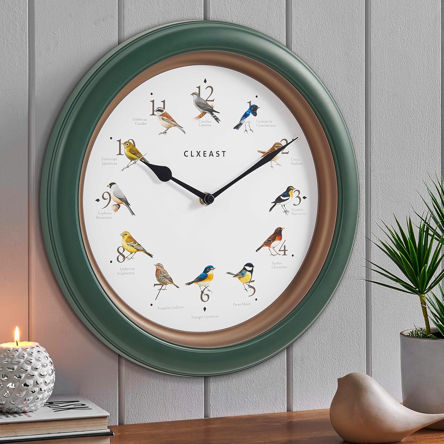CLXEAST 13.3 Inch Bird Clock That Sings on Hour,Singing Bird Clock with Nature Sounds from 6 am-9 pm and Silent Night Mode,Forest Green Finish,Gifts for Bird Lovers,House Warming Gifts New Home