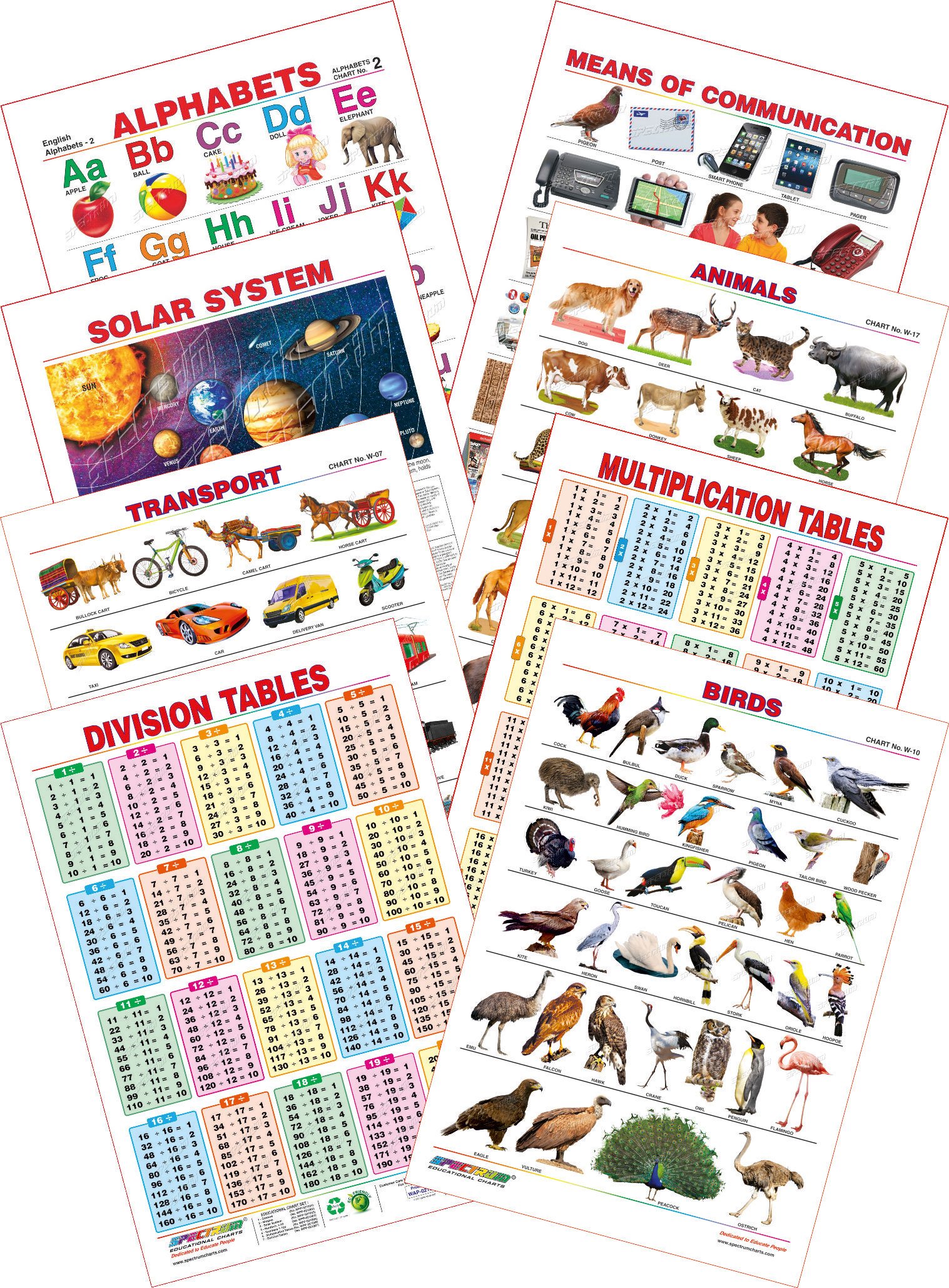 Spectrum Educational Mini Wall Chart (Set of 8) : Set 6 ( English Alphabets , Means of Communications , Solar System , Animals , Birds , Transport , Multiplication & Division Tables )-image-16