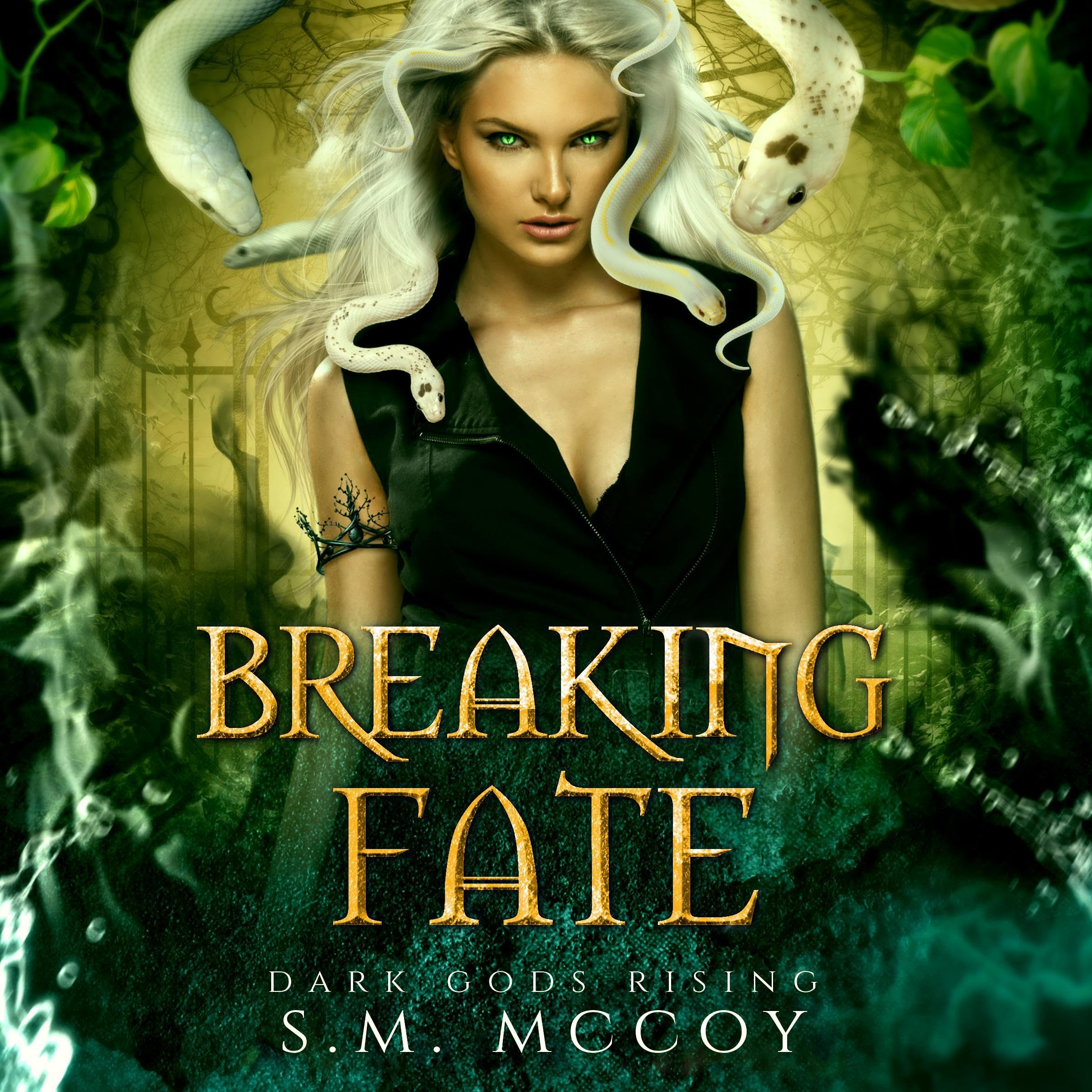 Cover art for Breaking Fate