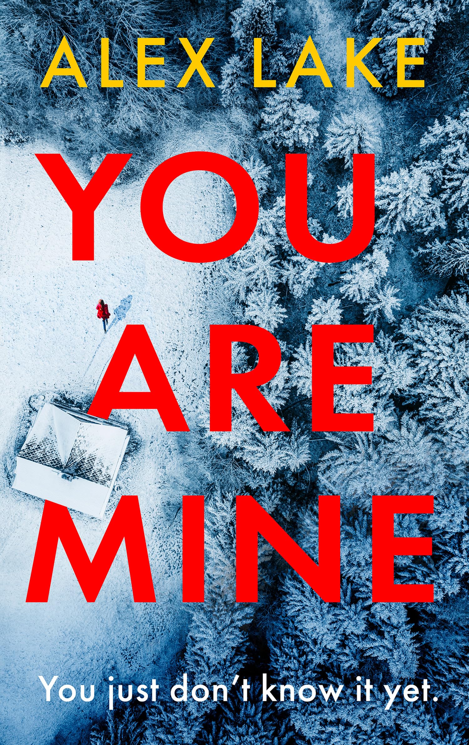 You Are Mine: The new page-turning psychological crime thriller that will keep you gripped from the Top 10 Sunday Times bestselling author