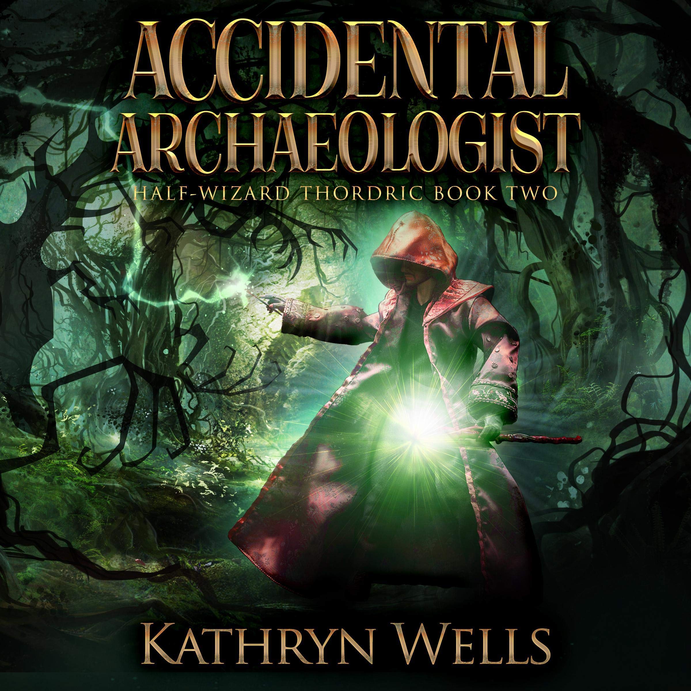 Cover art for Accidental Archaeologist