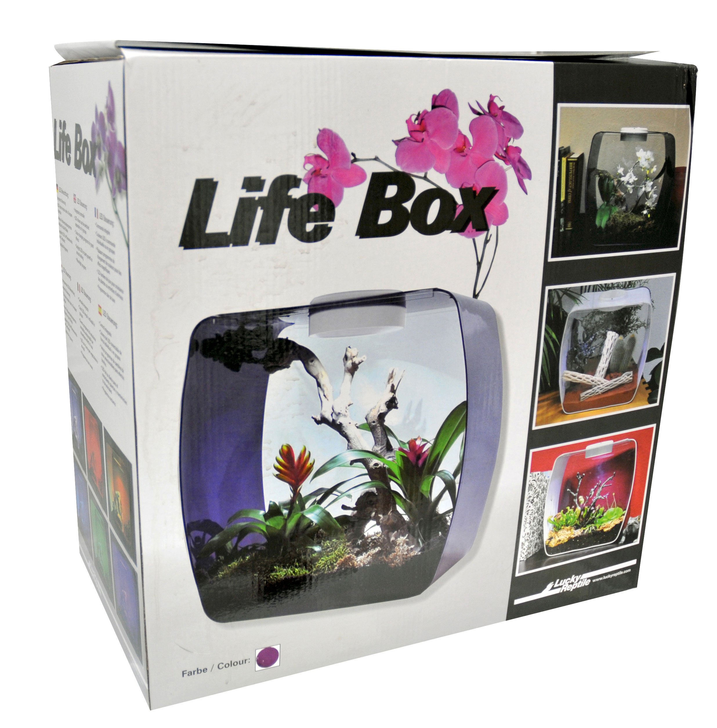 Lucky Reptile Life Box Designer Terrarium
