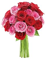 Vista 64 de KaBloom Prime Next Day Delivery - Colección para el Día de la Madre - Ramo de 12 rosas 12 rosas blancas. Regalo para cumpleaños, recuperarse