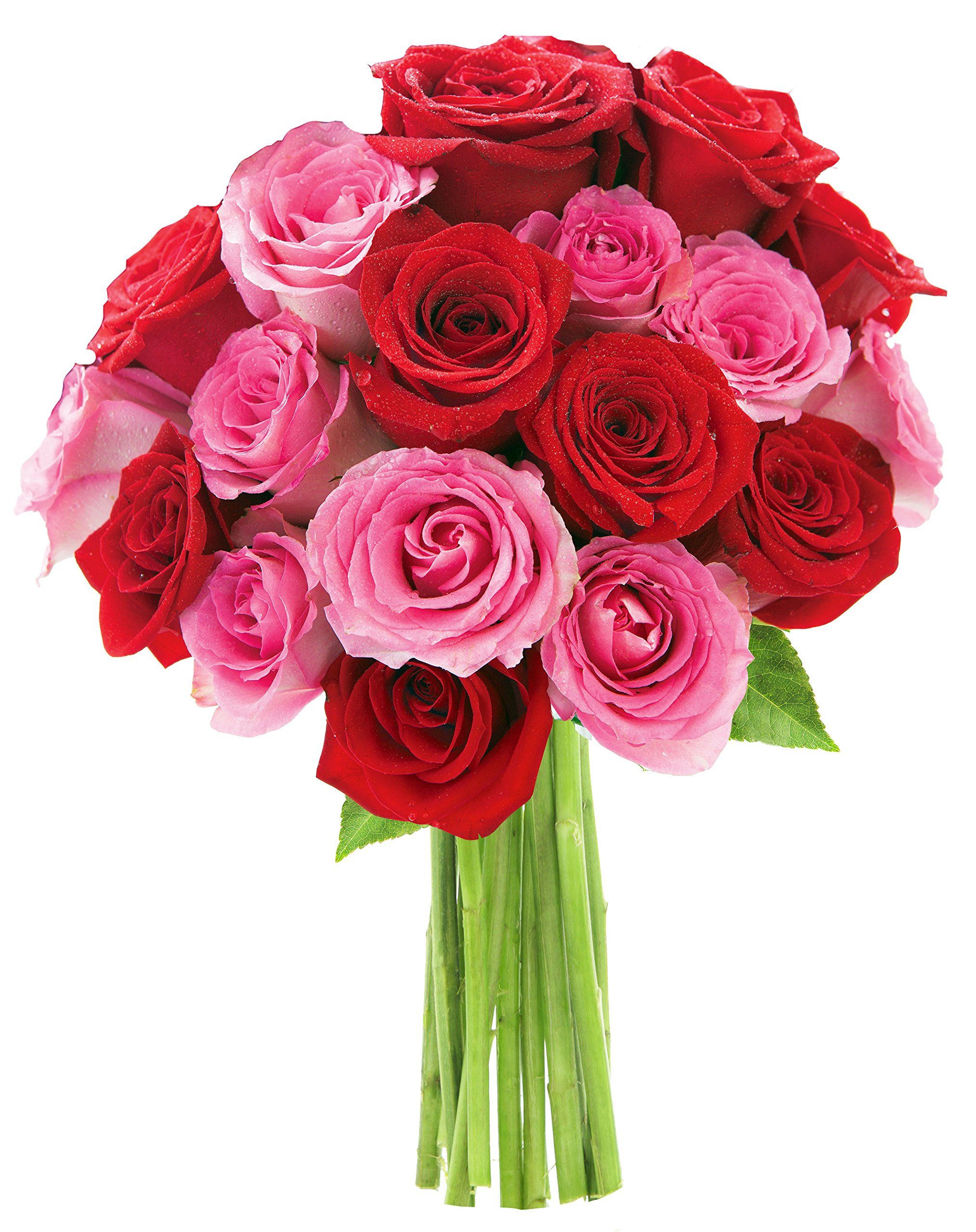 KaBloom - Romantic Bouquet of 18 Red and Pink Roses - Fresh Flowers for Birthday, Valentine's & Mother's Day