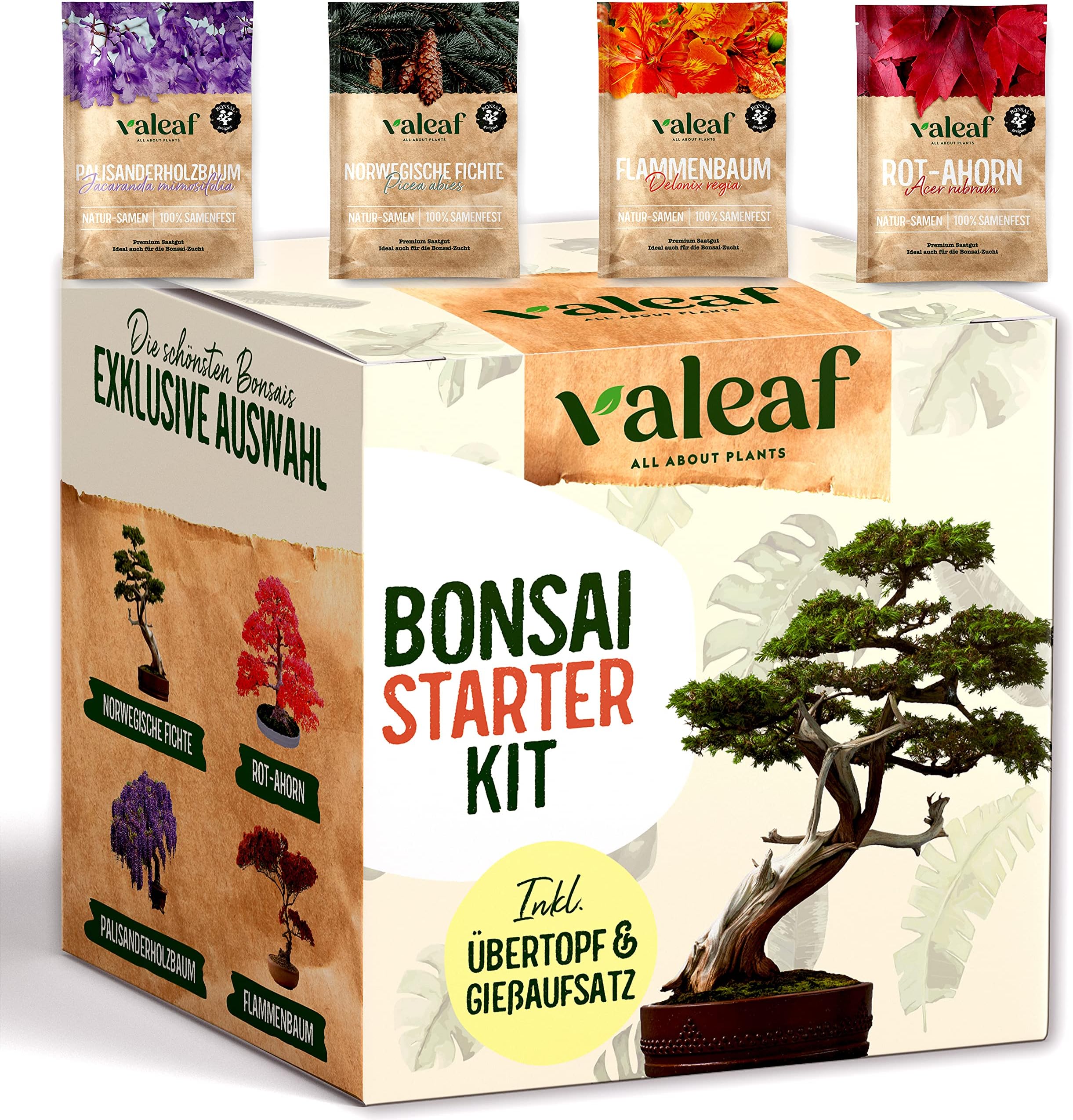 Valeaf Bonsai Starter Kit – Summer Sale, Grow Your Own Bonsai Tree – Growing Set Including 4 Varieties Bonsai Seeds & Accessories – For Beginners – The Ideal Gift for Plant Tree