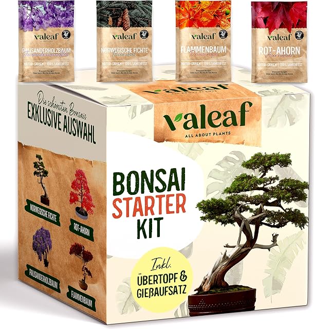 valeaf Zestaw startowy do bonsai, do uprawy własnego drzewka bonsai, zestaw zawiera 4 rodzaje nasion bonsai i akcesoria, dla początkujących