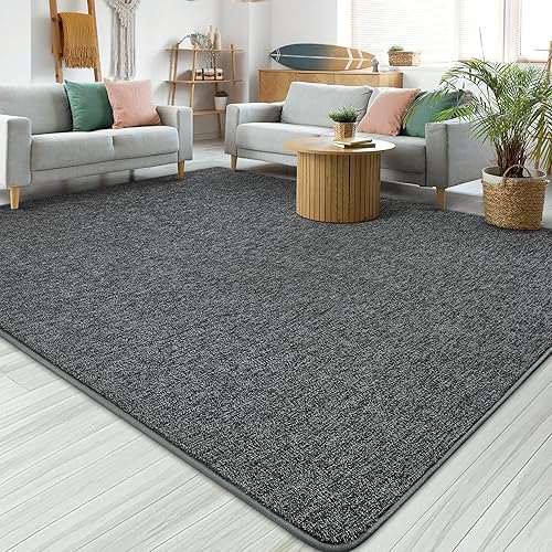 Chicrug Modern 4x6 Area Rugs for Bedroom Living Room, Memory Foam Low-plie Carpet Rug for Kids Playroom, Indoor Floor Rug for Bedside Dorm Dining Room Home Decor, Dark Grey and White
