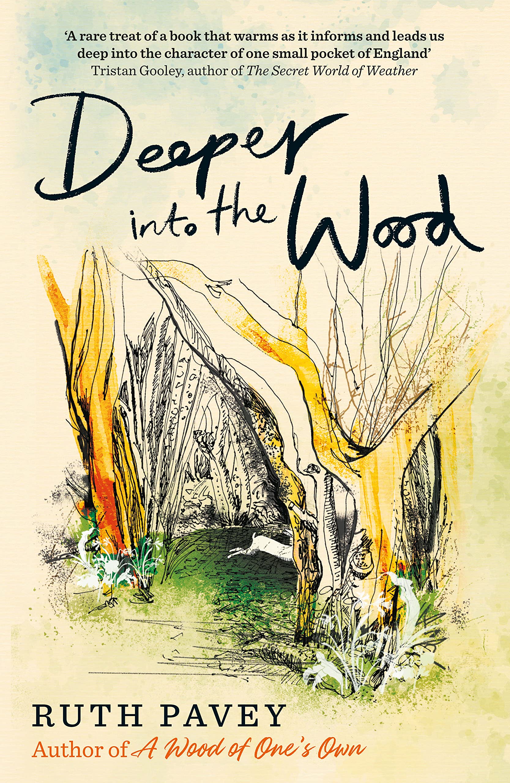 Deeper Into the Wood: a year in the life of an amateur naturalist