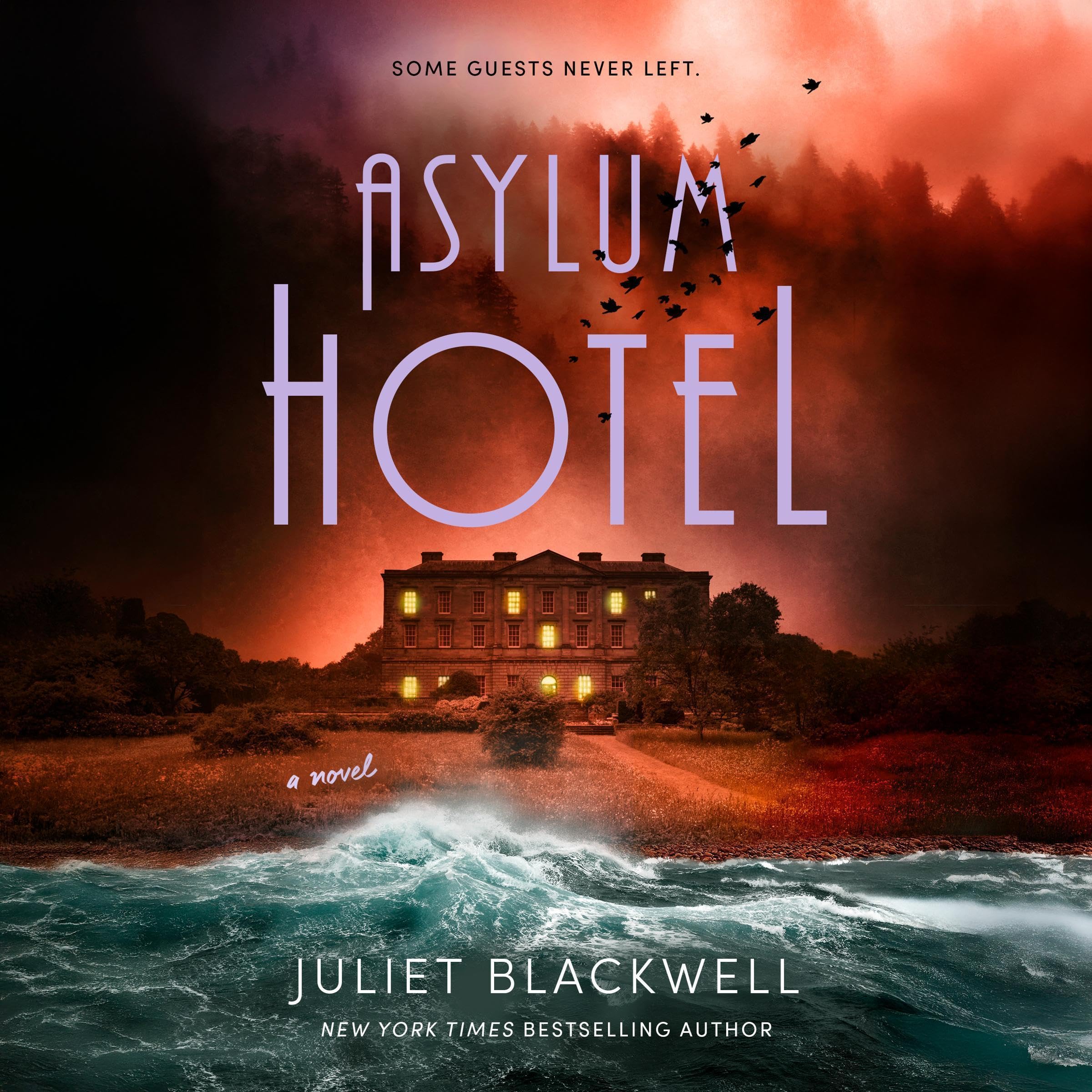 Cover art for Asylum Hotel