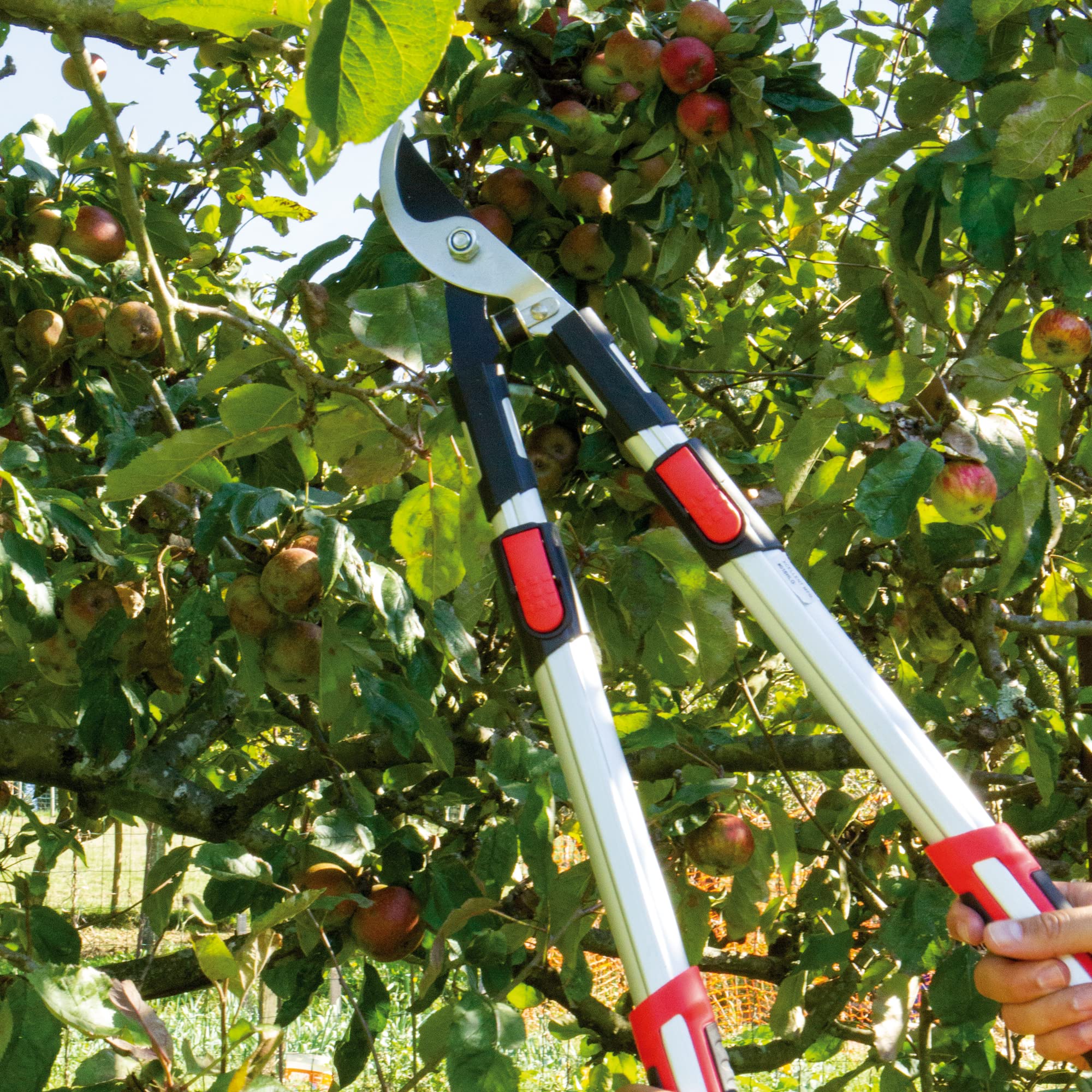 Amig - Cisaille d'Élagage Extensible à Deux Mains | Manche Télescopique en Aluminium | Lame en Acier Revêtue de Téflon | De 62 à 97 mètres | Coupe Bypass | Capacité de Coupe de 38 mm