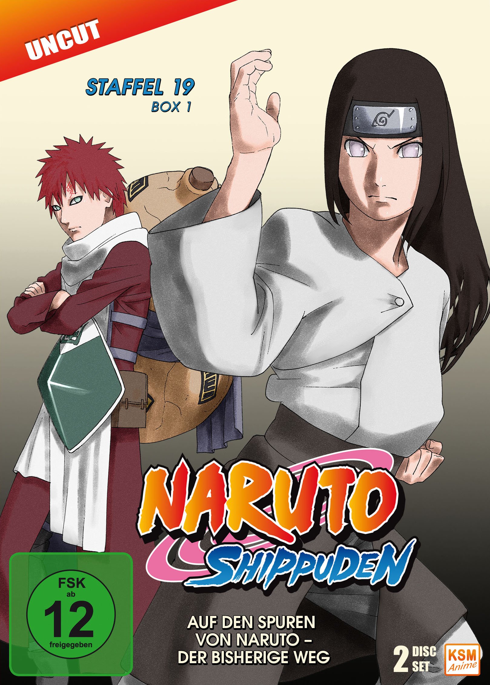 Naruto Shippuden - Auf den Spuren von Naruto - Der bisherige Weg - Staffel 19.1: Episode 614-623 [2 DVDs]