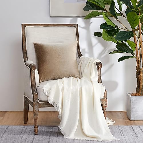 Vista 101 de GIGIZAZA - Juego de 2 fundas de almohada decorativas de 18 x 18 pulgadas, fundas de almohada cuadradas de terciopelo verde azulado pavo real