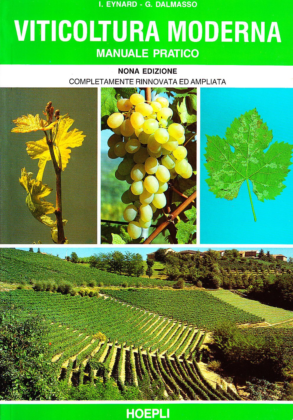 Viticoltura Moderna - 4