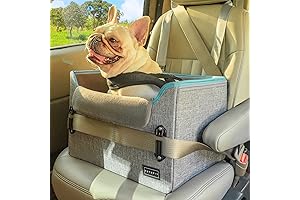 PETSFIT Car Booster Seat for Small Dogs