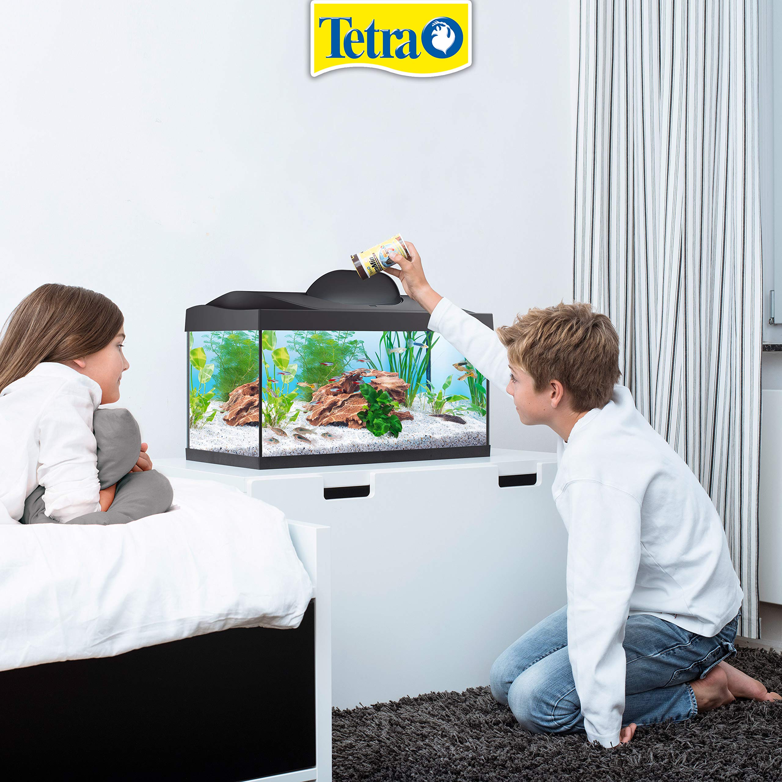 TETRA Starter Line - Aquarium LED Complet pour Débutants, Poisson - 54L