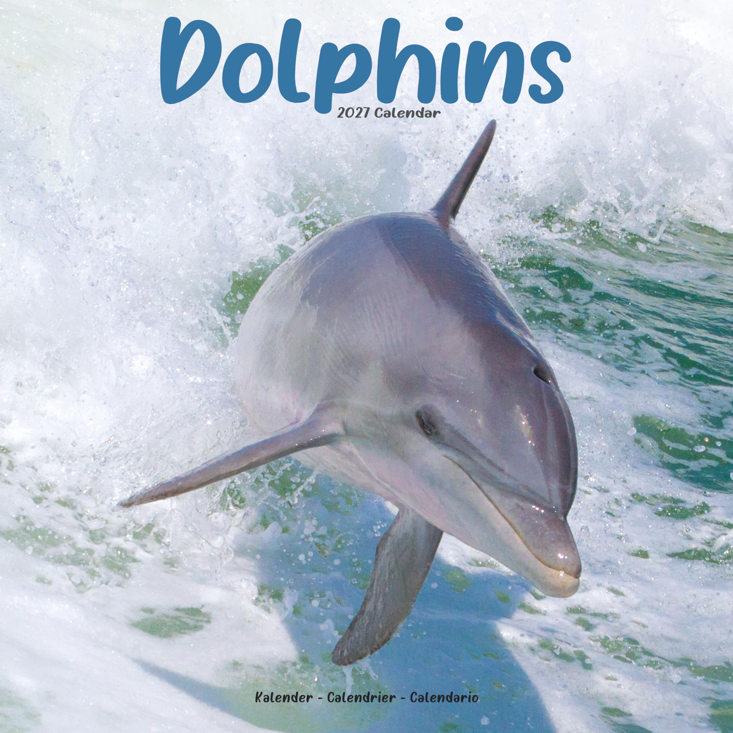Dolphins Calendar 2027, Wall Calendars, Month To View, Animals, Gift