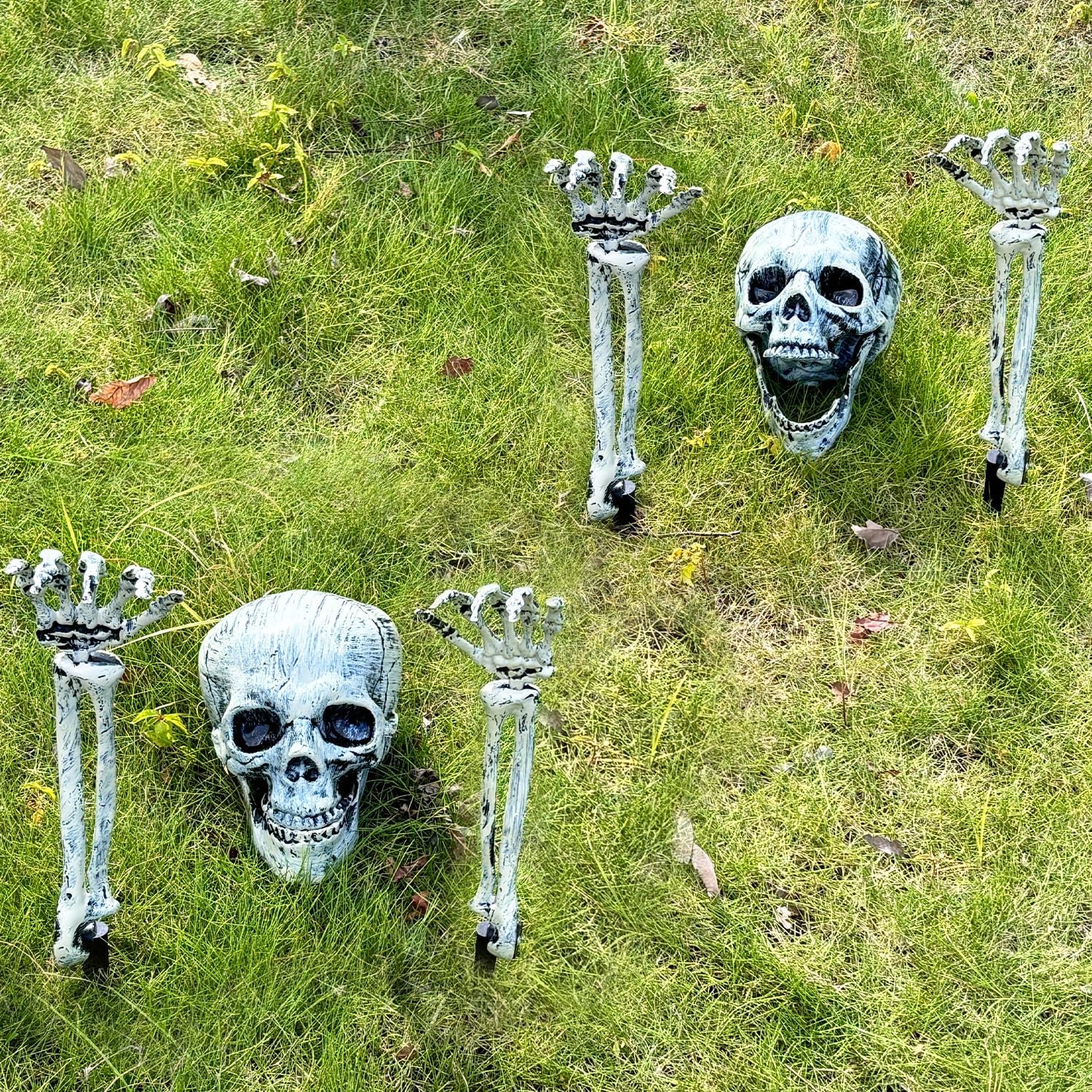 Halloween Outdoor Skeleton Stakes (2 pack) with Skull & Arms