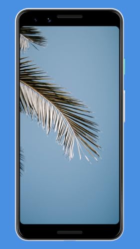 HD Summer Wallpapers & Background – vue 2